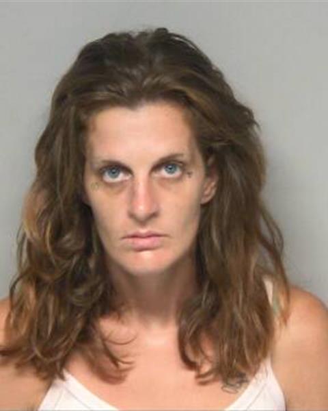Mugshot of STEPHANIE LEE KING