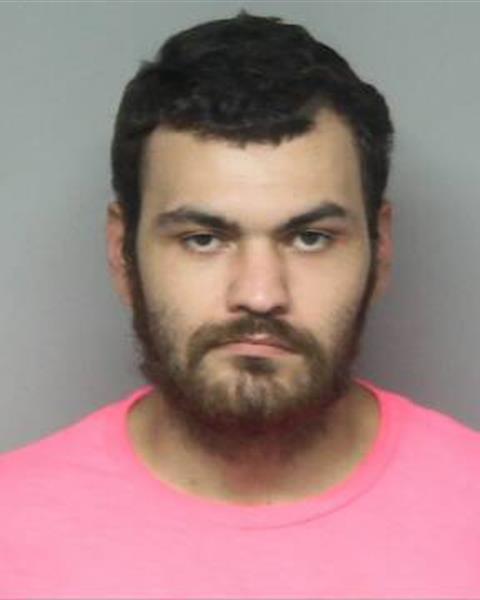 Mugshot of ALLAN ULISES MORGAN