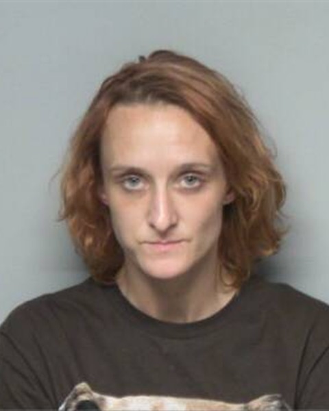 Mugshot of CRYSTAL ANN WILKINS