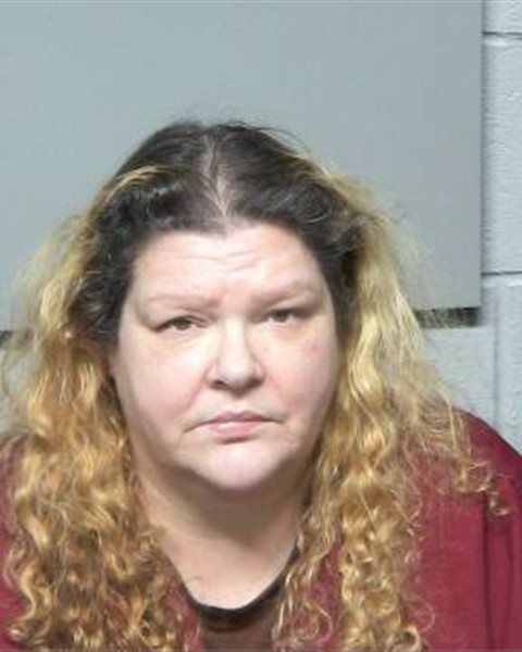 Mugshot of WENDI DIANE WALTERS GRAHAM