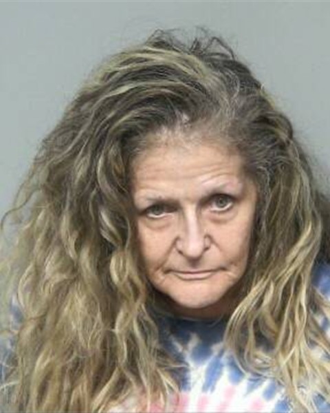 Mugshot of MICHELLE WEST LEONARD