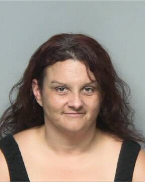 Mugshot of HOLLY MICHELE PRICE