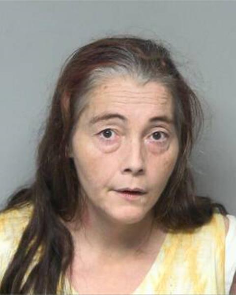 Mugshot of CAROLYN NOVELLE TROGDON