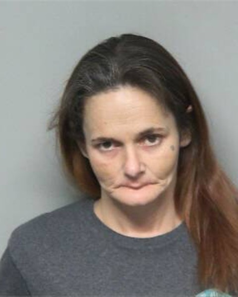 Mugshot of BRITTANI NICOLE HAYES