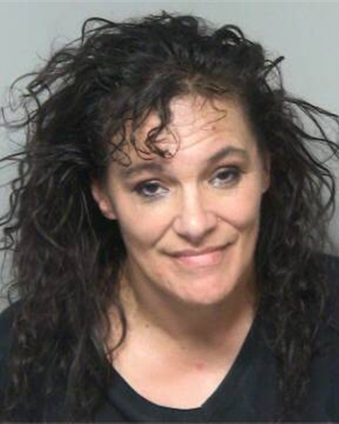 Mugshot of DANA MARIE HANEY