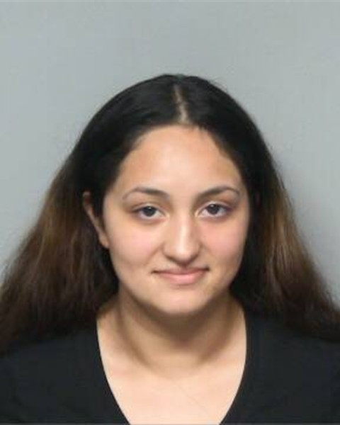Mugshot of ADIZ ADELA MORAN