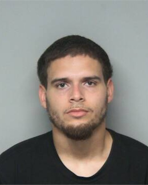Mugshot of JOHNNY WAYNE PERSON