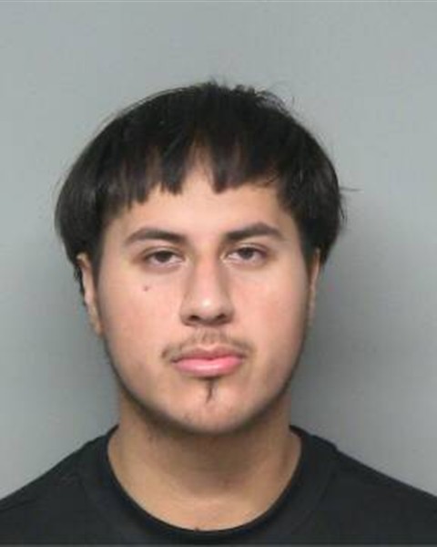 Mugshot of DAMIAN ALFONSO REBOLLAR