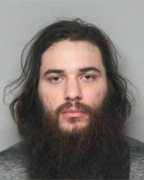 Mugshot of JORDAN LEE FORBES
