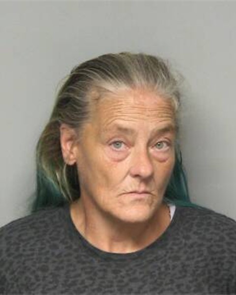 Mugshot of FANNIE LOU JONES