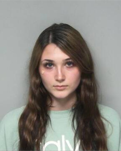 Mugshot of RAEGAN ELIZABETH FEAGIN