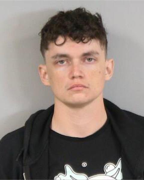 Mugshot of ERIC FITCH