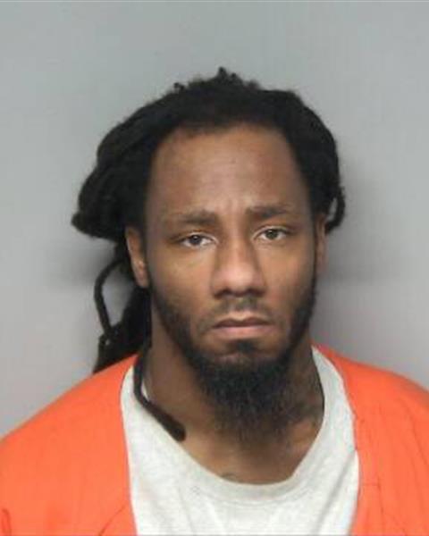 Mugshot of RYAN SAMUEL ROUSSEAU