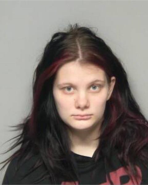Mugshot of LYDIA FAITH TODD