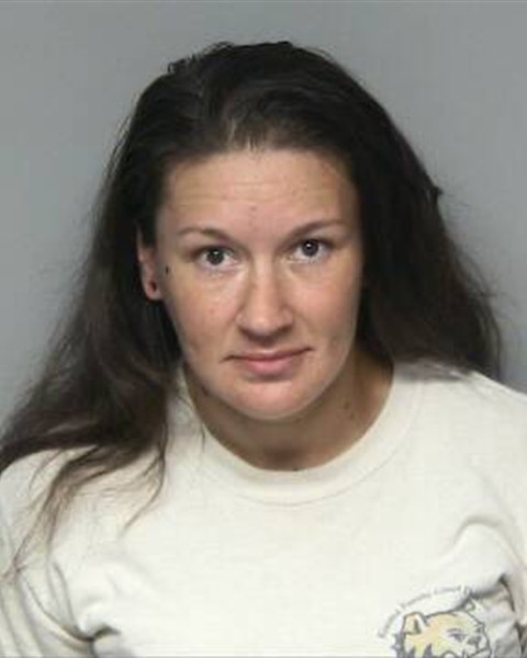 Mugshot of TRICIA CRANFORD NEEDHAM