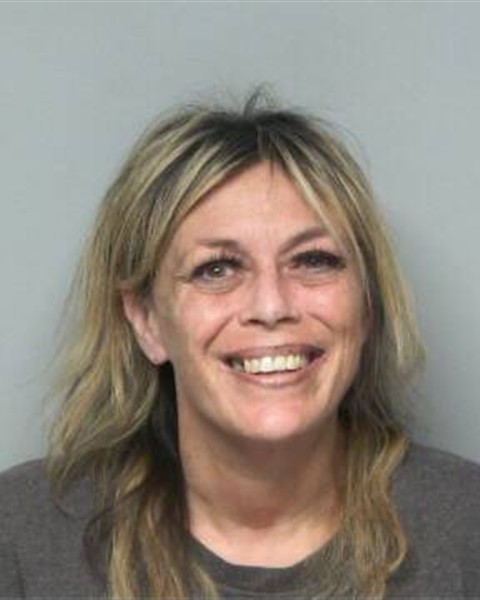 Mugshot of BRANDY MICHELLE GIBSON HAMILTON