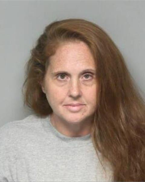 Mugshot of ANDREA RAE JONES BROOKS