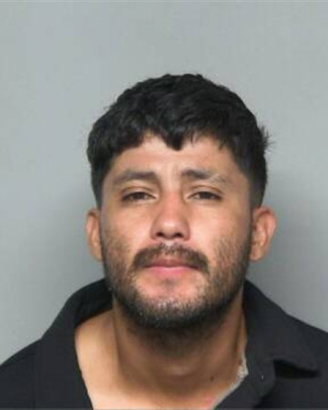Mugshot of JORGE LUIS PEREZ MALDONADO