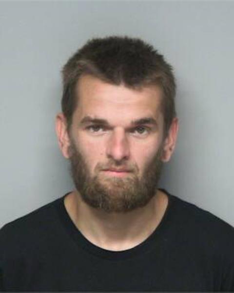 Mugshot of CHARLES LEE SEECH
