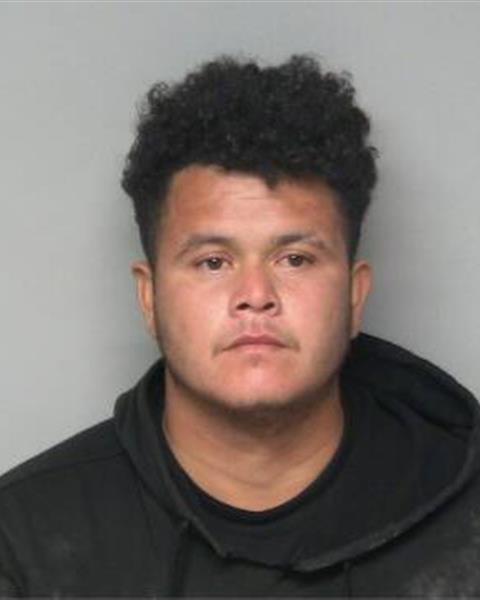 Mugshot of LUIS ALVAREZ GARCIA