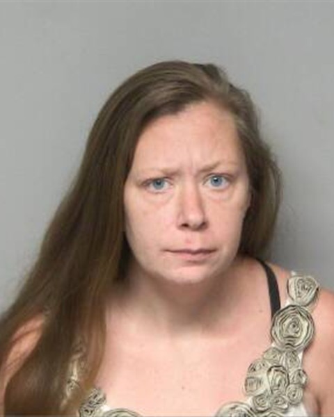 Mugshot of AMY DANICA TESSNER