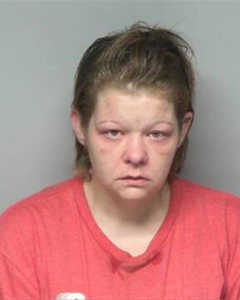 Mugshot of HEATHER LYNN YOUNTS