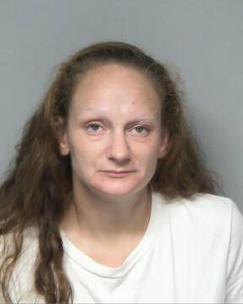 Mugshot of ERICA NICOLE HARMON