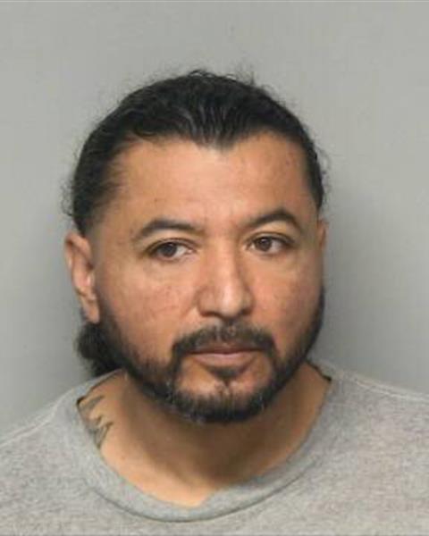 Mugshot of RICARDO PALACIOS