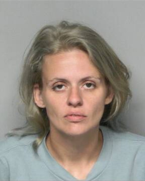Mugshot of KIRSTIE ALLIE SWINK
