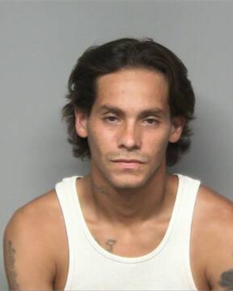 Mugshot of JAIME LEE LOPEZ