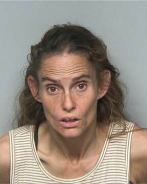 Mugshot of LAURA LEE BOISVERT