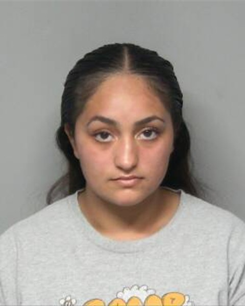 Mugshot of ADIZ ADELA MORAN