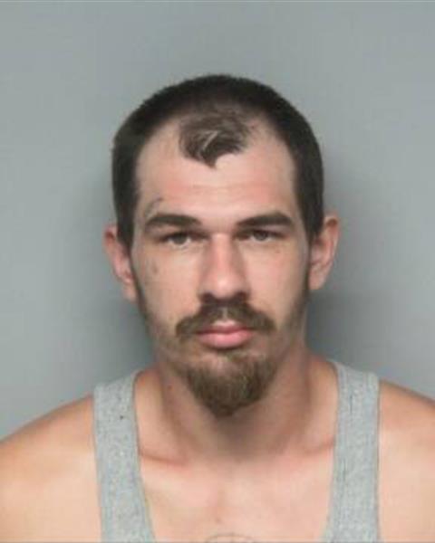Mugshot of NICHOLAS WAYNE CRAVEN