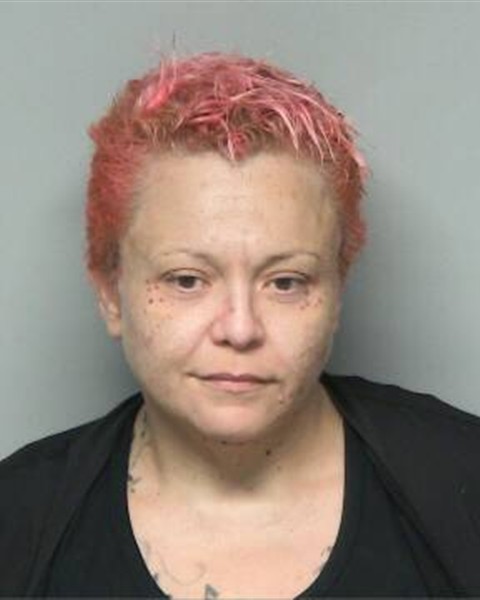 Mugshot of AMANDA LUISA LOPEZ