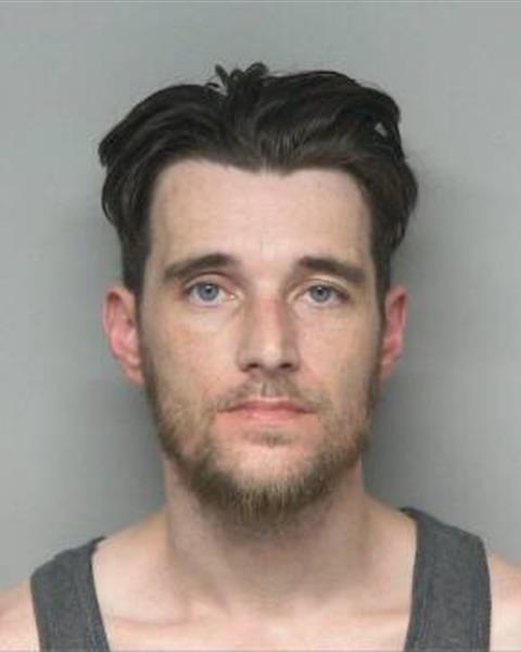 Mugshot of DUSTEN DALE HUDSON
