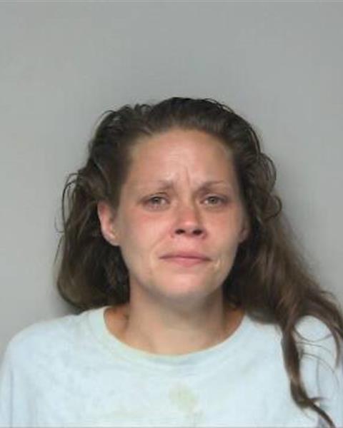 Mugshot of BRYANNA MICHELLE BUMGARNER