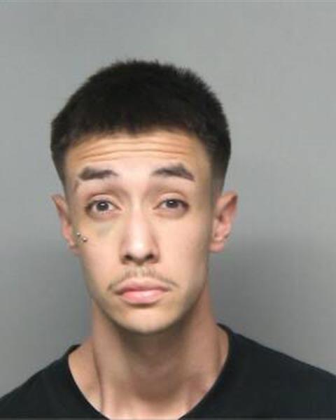 Mugshot of JOSE EDUARDO MEZA