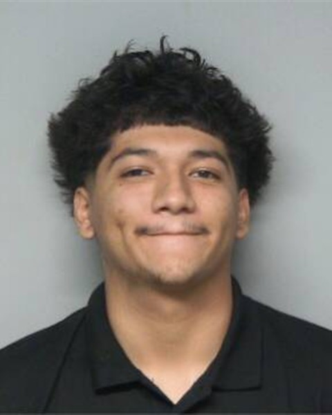 Mugshot of MISAEO NERI SUAREZ
