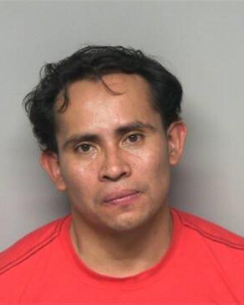 Mugshot of JOSE OSMAR HERNANDEZ