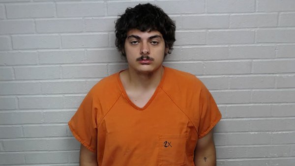 Mugshot of TRISTAN LEE DAWKINS