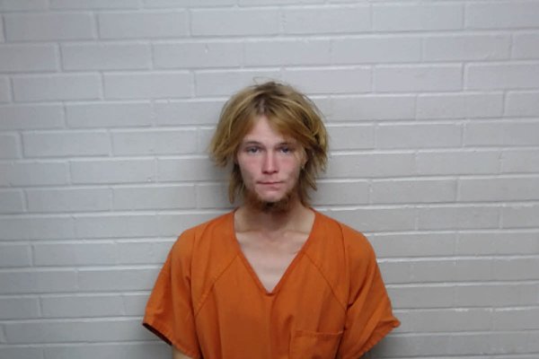 Mugshot of WESLEY CHARLES LESESNE