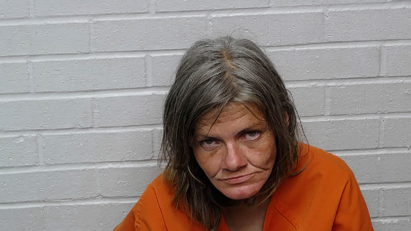 Mugshot of CRYSTAL RENEE LOCKLEAR