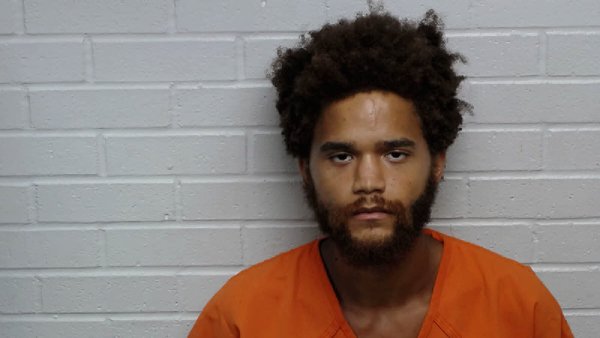 Mugshot of WILLIAM NYWON MCCRAY