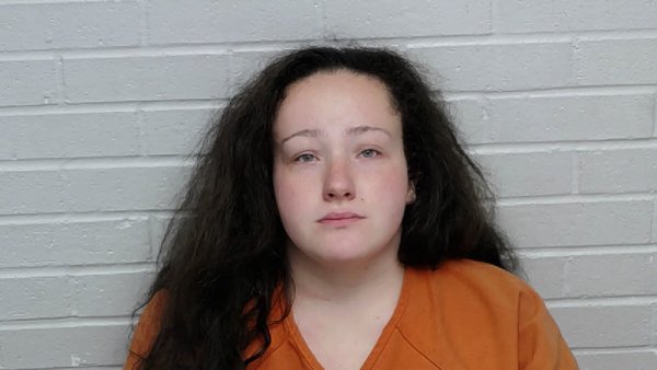 Mugshot of BREANNA LEE IDOL