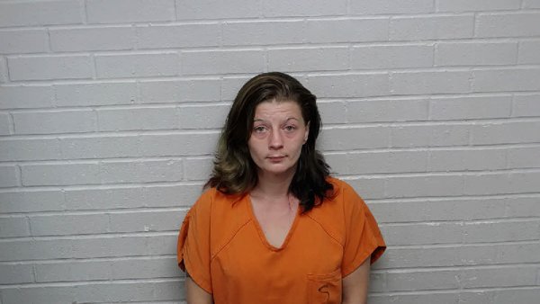 Mugshot of BRITTNEY DANYELLE PARRISH