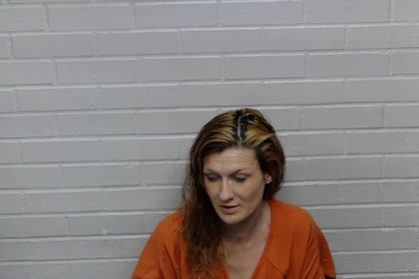 Mugshot of HOLLY ROSETTA BOWMAN