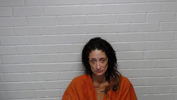 Mugshot of CANDICE KELLY HARDIN