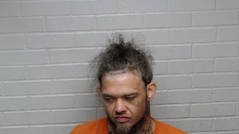 Mugshot of BRANDON LEE COX