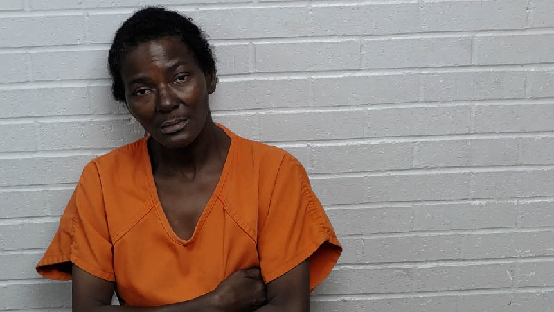 Mugshot of STACY MARIE BROWN