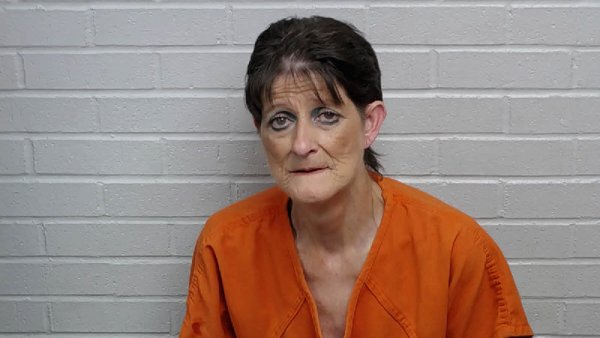 Mugshot of ELIZABETH ODOM COX